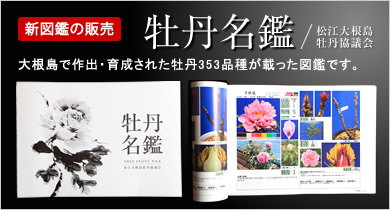 ぼたん宅配便 牡丹ボタン花の通販 販売 島根県大根島の由志園