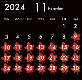 2024年11月