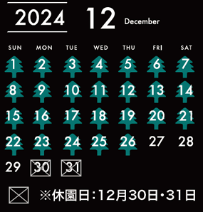 2024年12月