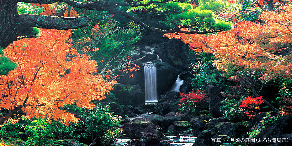 秋の紅葉狩り