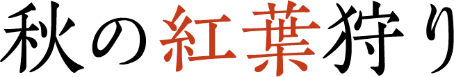 秋の紅葉狩り