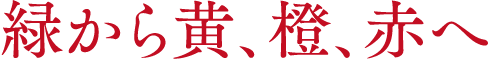 緑から黄、橙、赤へ